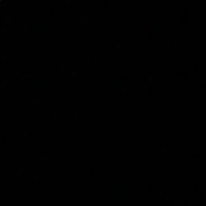 Meet your Posher, Leshaun